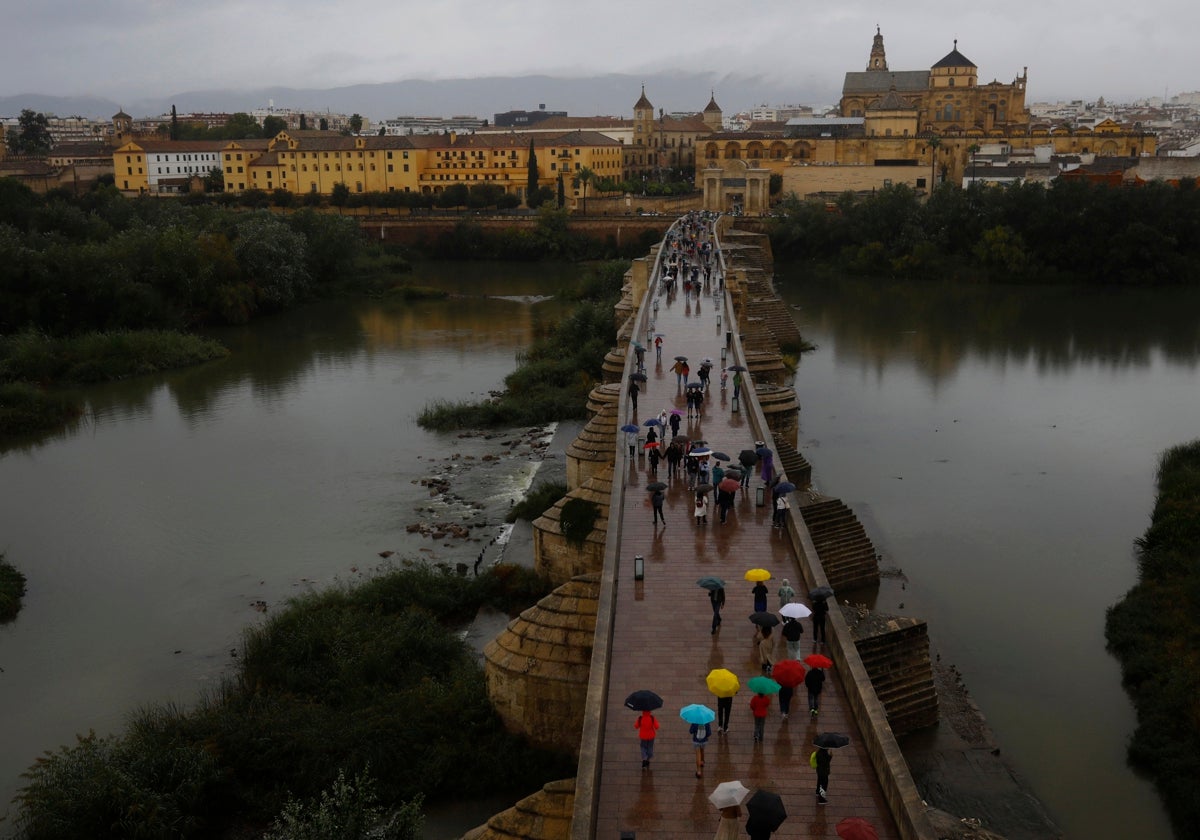 Un río de paraguas cruza el Puente Romano de Córdoba este sábado 12 de octubre de 2024