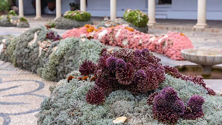 Guía del Festival Flora 2024 Córdoba: fechas, programación y artistas de la exposición floral