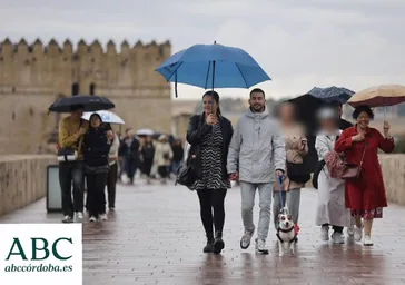 Así operan las carteristas en el Puente Romano de Córdoba: un fenómeno en aumento