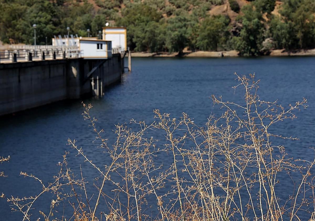 Presa del Guadalmellato