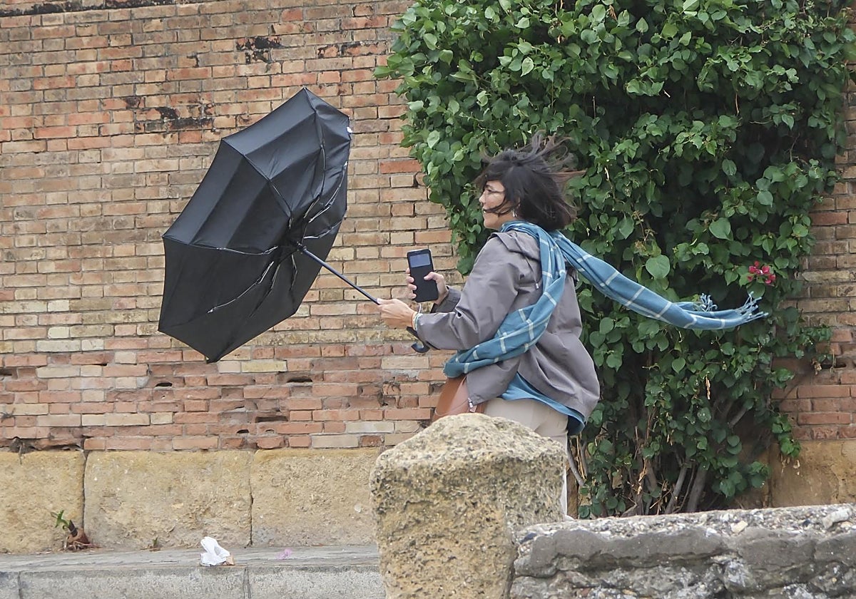 Lluvia y viento n Sevilla