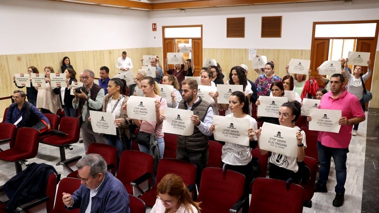 Padres del colegio la Aduana en su protesta en el Pleno