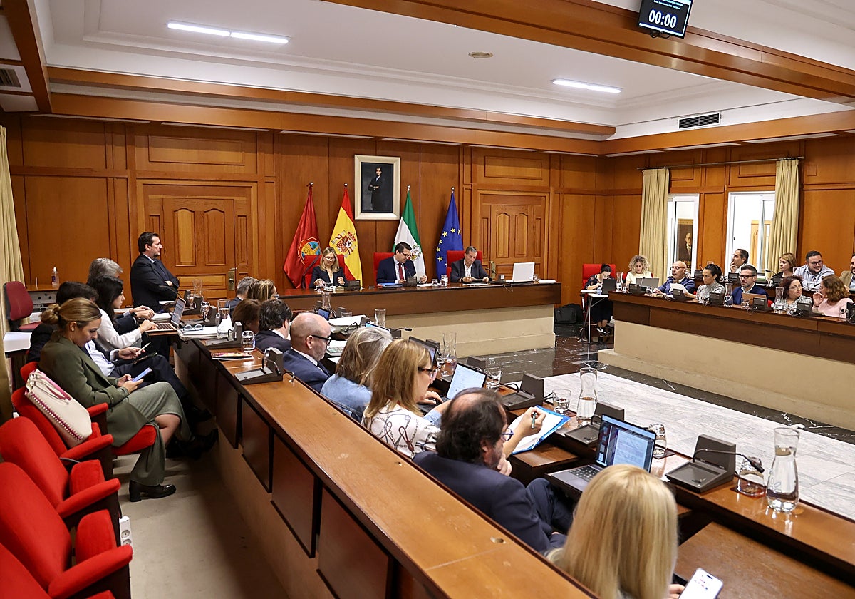 Sesión plenaria deeste martes en el Ayuntamiento de Córdoba