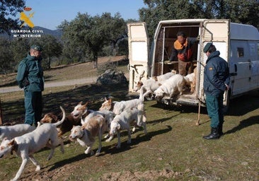 Interior admite que baraja la reestructuración de los equipos del Seprona en Córdoba