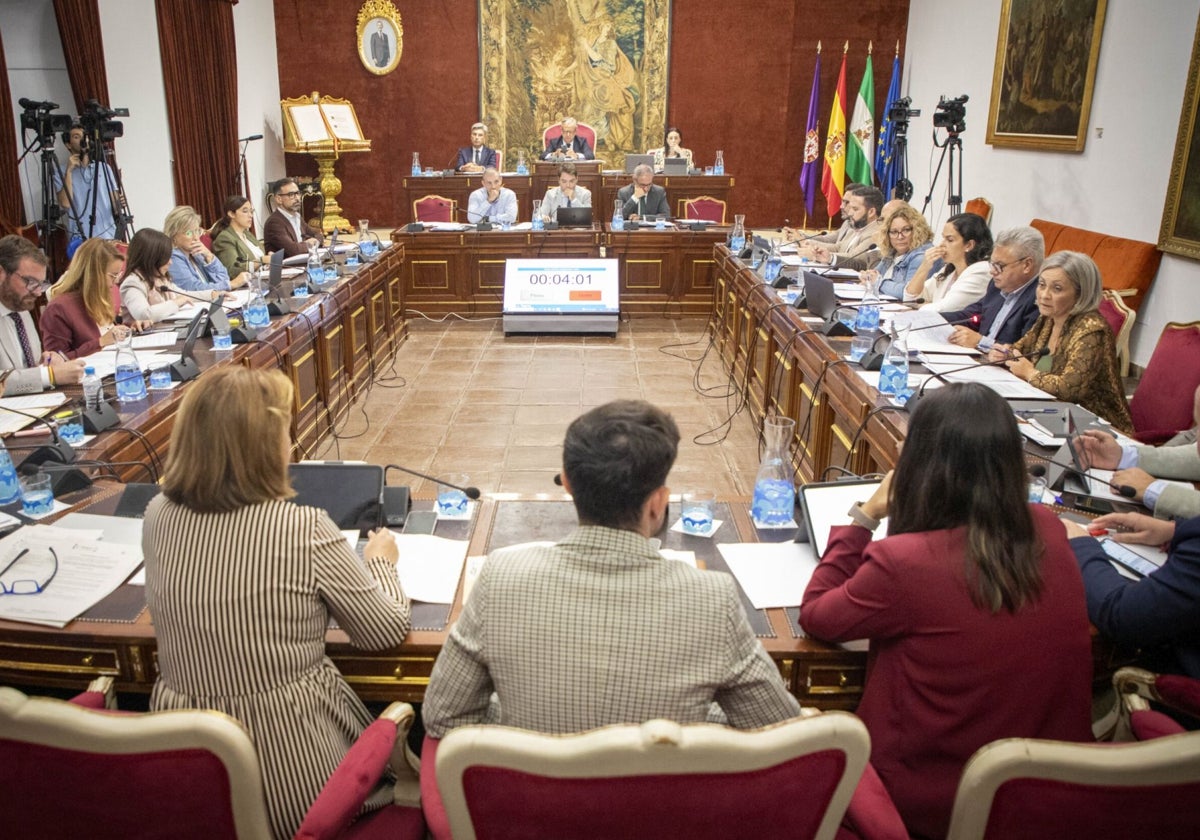 Pleno de la Diputación Provincial de Córdoba