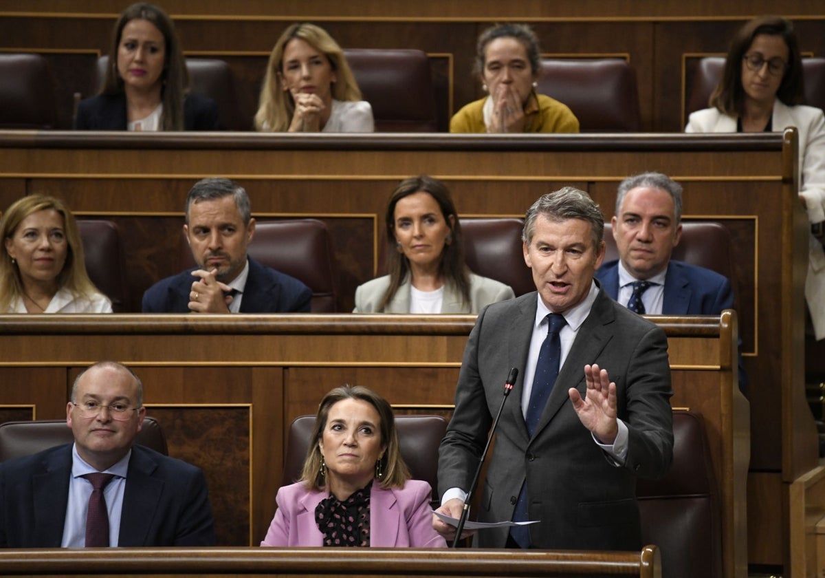 El presidente del PP, Alberto Núñez Feijóo, en la sesión de control al Gobierno