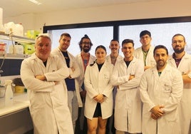 La Universidad de Córdoba (UCO) prueba el ajo negro fermentado para el cáncer de próstata