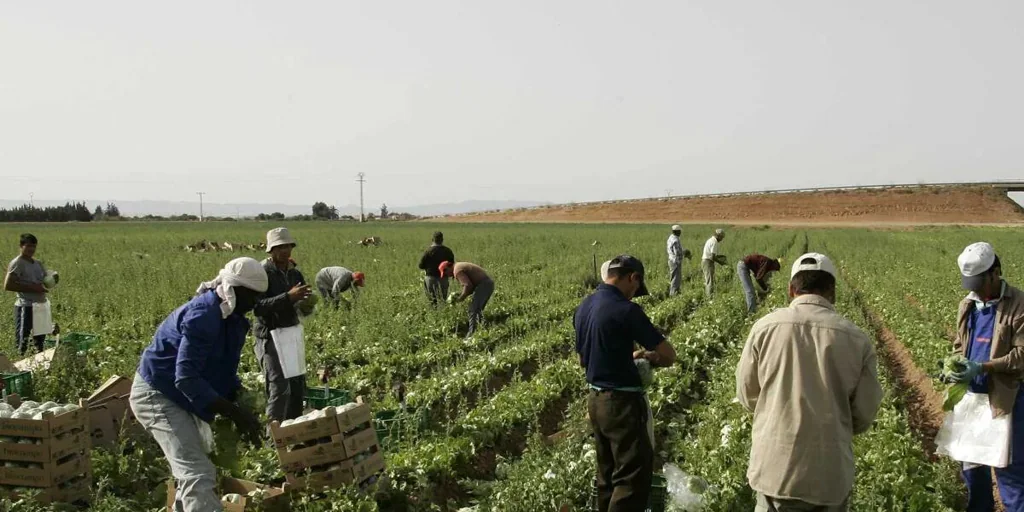 Castilla-La Mancha, entre las primeras regiones con más pobreza laboral, detrás de Andalucía y Extremadura