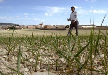 Los agricultores y ganaderos de la región recibirán 456,8 millones de las ayudas directas de la PAC