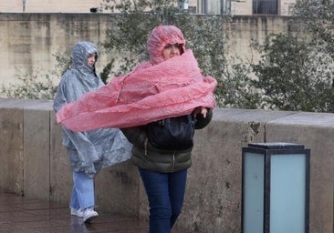 La 'turbonada' deja rachas de viento de hasta 68 kilómetros por hora