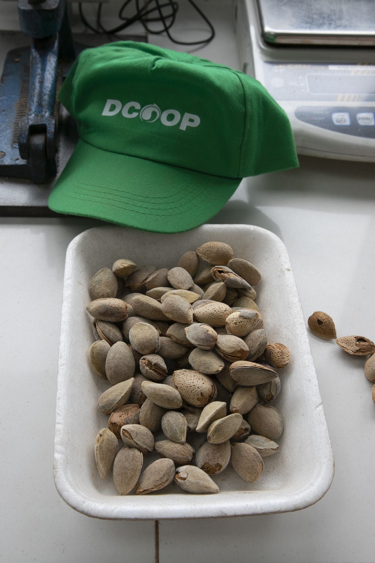 La imponente planta de almendras de Dcoop en Villarrubia, en imágenes