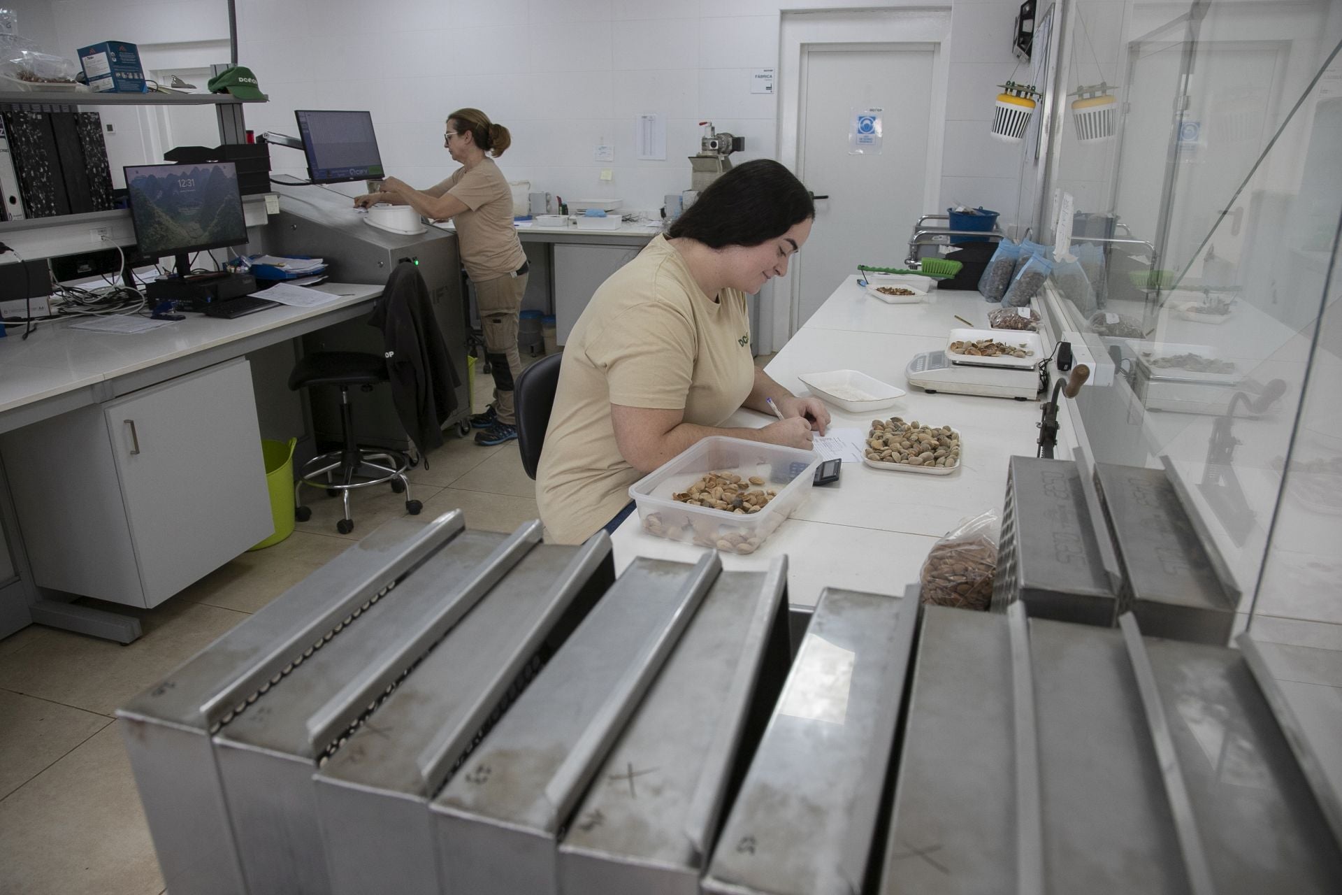 La imponente planta de almendras de Dcoop en Villarrubia, en imágenes