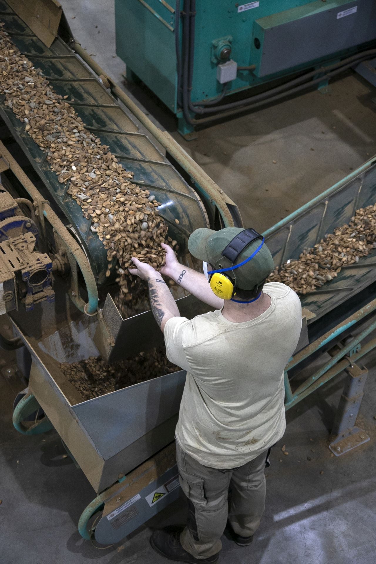 La imponente planta de almendras de Dcoop en Villarrubia, en imágenes
