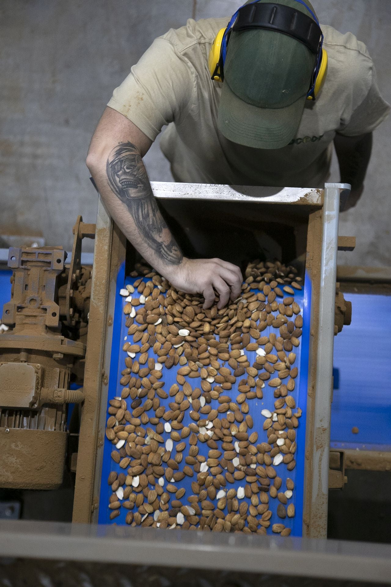 La imponente planta de almendras de Dcoop en Villarrubia, en imágenes