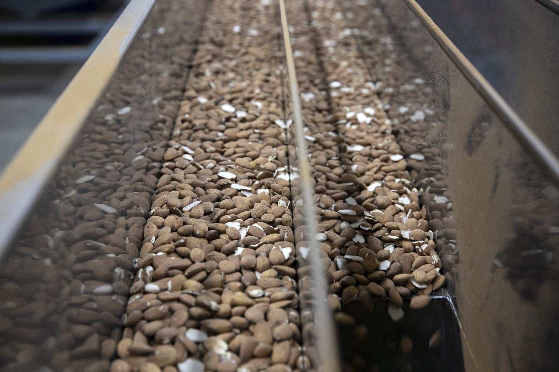 La imponente planta de almendras de Dcoop en Villarrubia, en imágenes