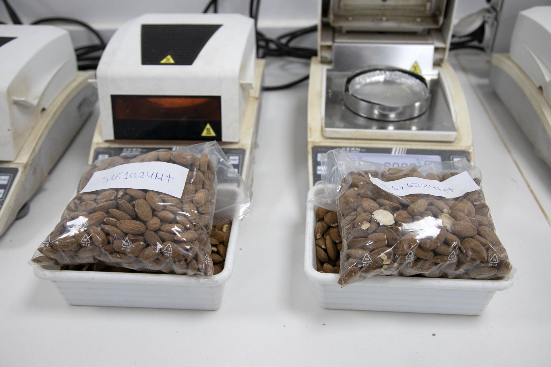 La imponente planta de almendras de Dcoop en Villarrubia, en imágenes