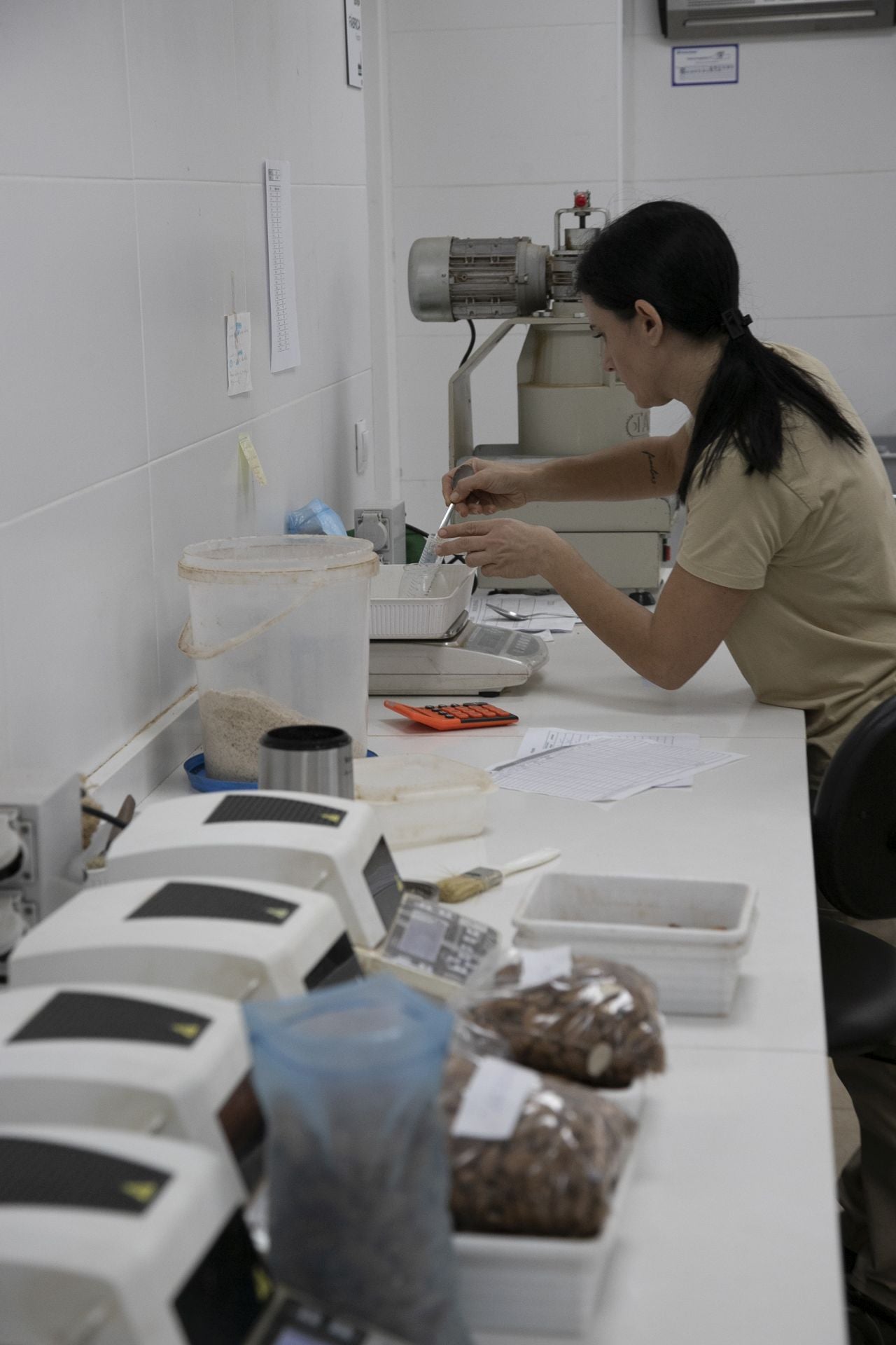 La imponente planta de almendras de Dcoop en Villarrubia, en imágenes