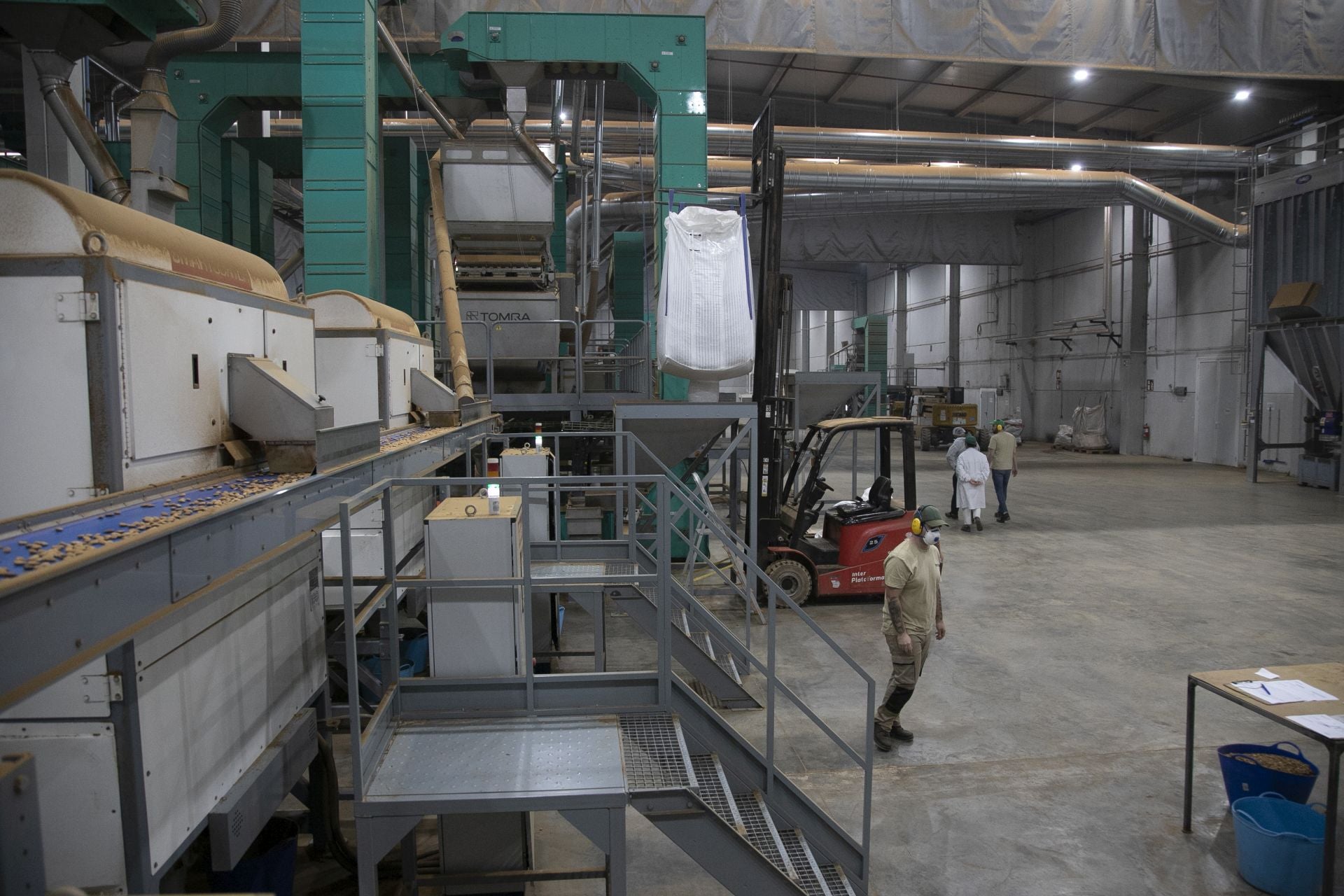 La imponente planta de almendras de Dcoop en Villarrubia, en imágenes