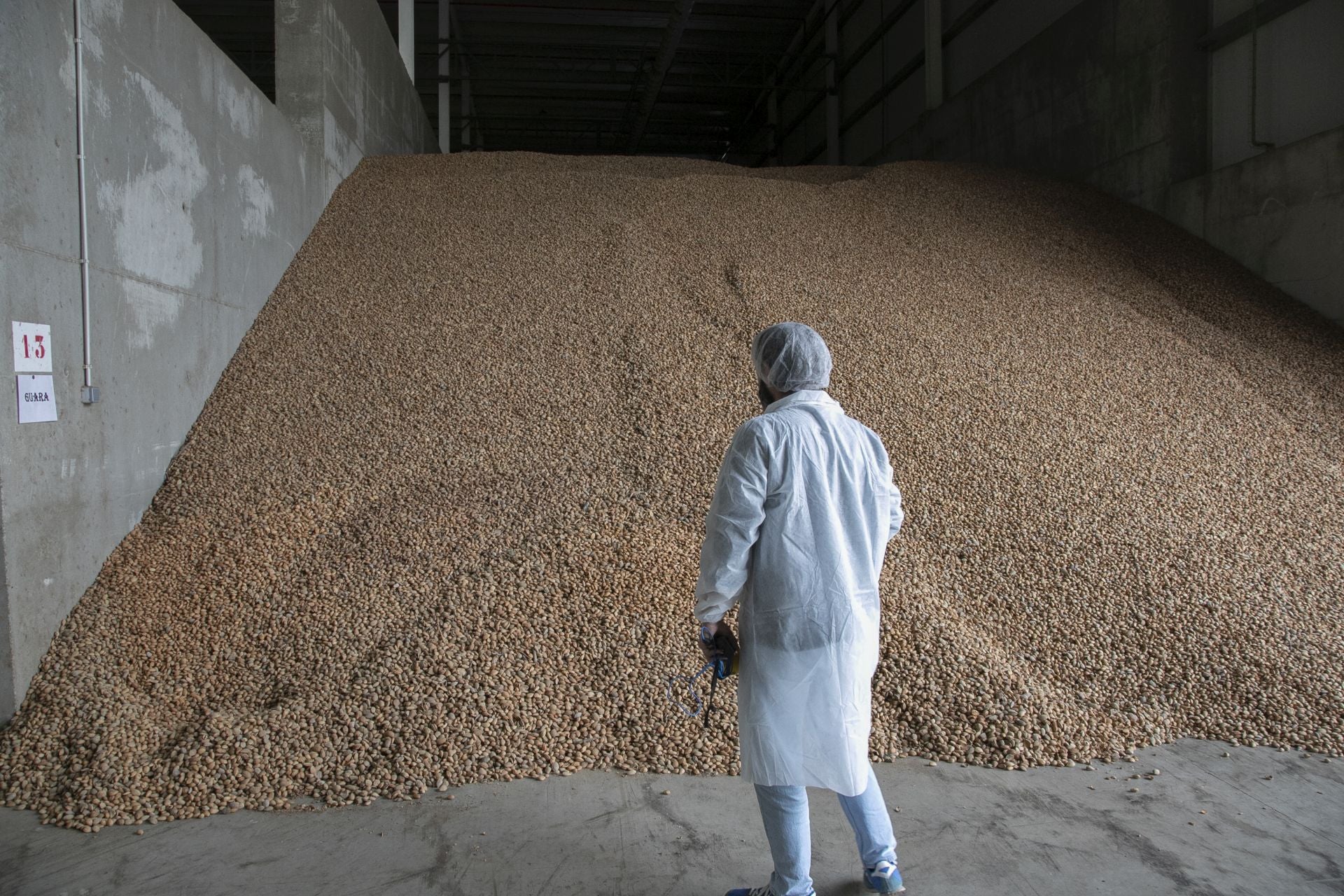 La imponente planta de almendras de Dcoop en Villarrubia, en imágenes