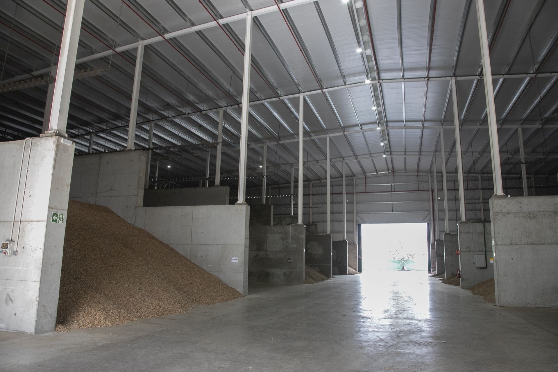 La imponente planta de almendras de Dcoop en Villarrubia, en imágenes