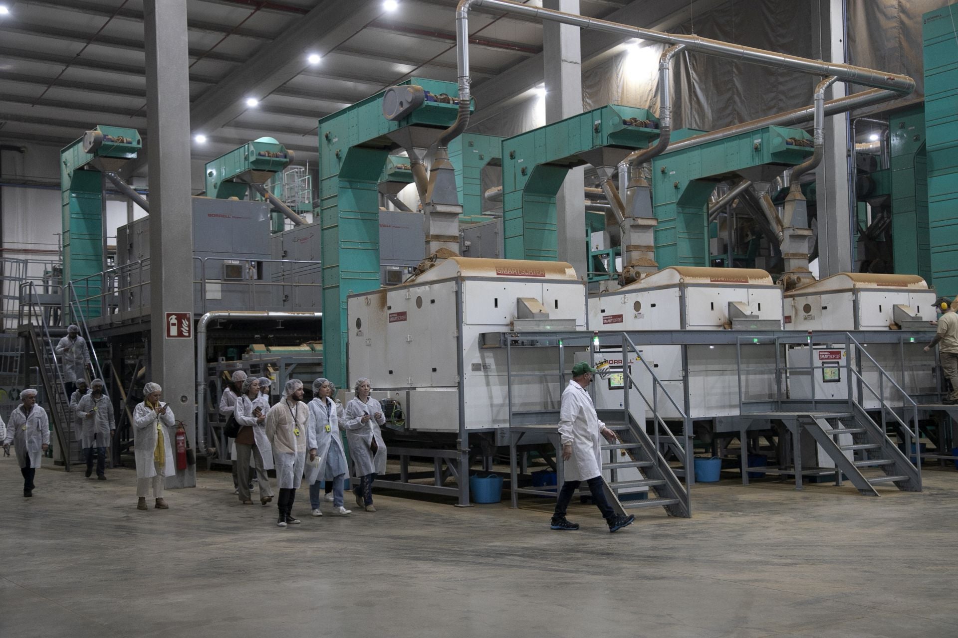 La imponente planta de almendras de Dcoop en Villarrubia, en imágenes