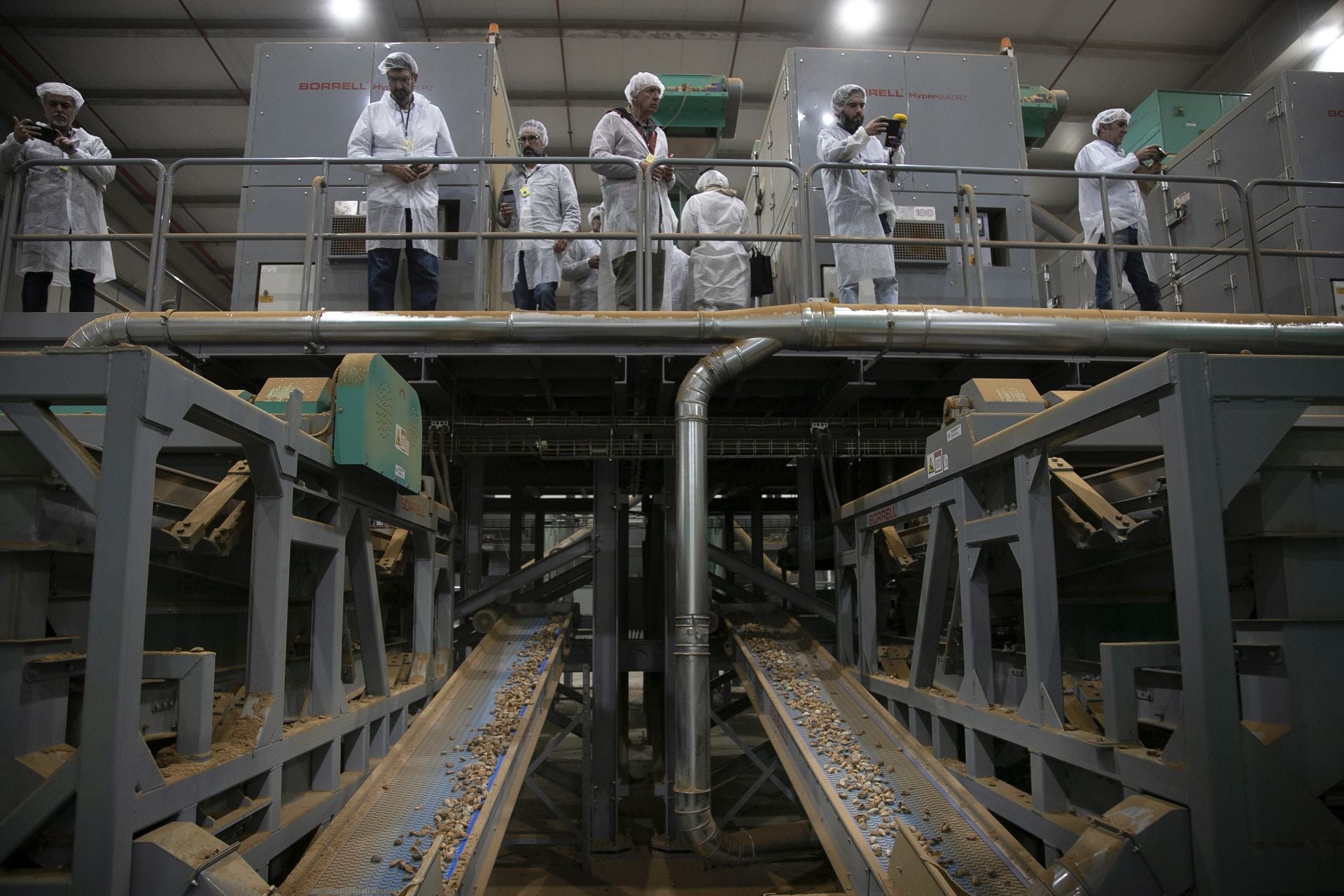 La imponente planta de almendras de Dcoop en Villarrubia, en imágenes