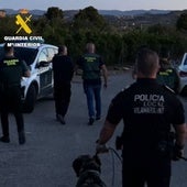 Pillan a un ladrón habitual en Valencia tras más de treinta robos en cinco meses