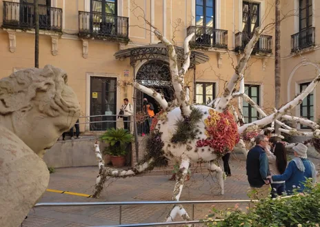 Imagen secundaria 1 - Numeroso público se da cita en el arranque del festival que abarca cinco sedes en el Centro histórico y una competición que explora la fuerza de la naturaleza viva en el mundo actual con creaciones multiespecie que dialogan con los edificios donde se insertan y con el propio visitante.