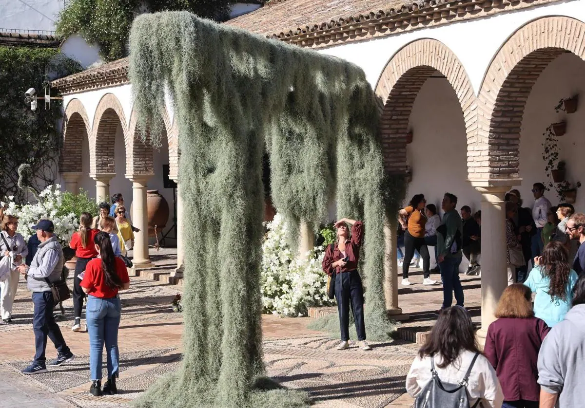 Arranque de Flora 2024 este vienes en Córdoba