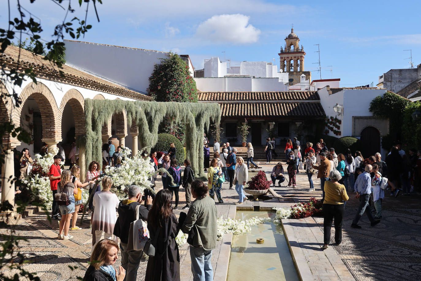 El incomparable espectáculo sensorial del Festival Flora de Córdoba, en imágenes
