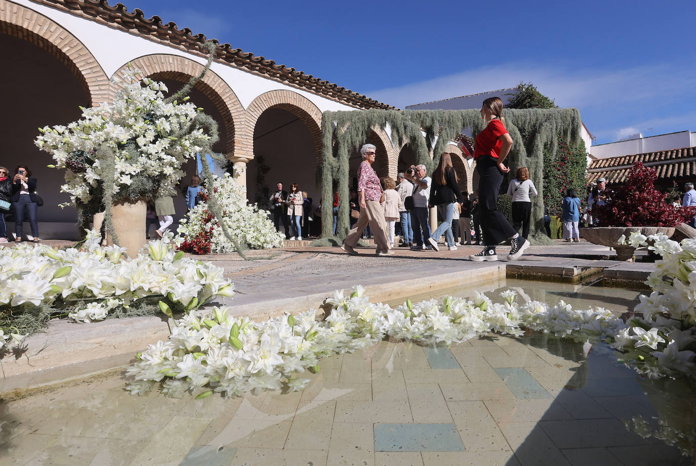 El incomparable espectáculo sensorial del Festival Flora de Córdoba, en imágenes