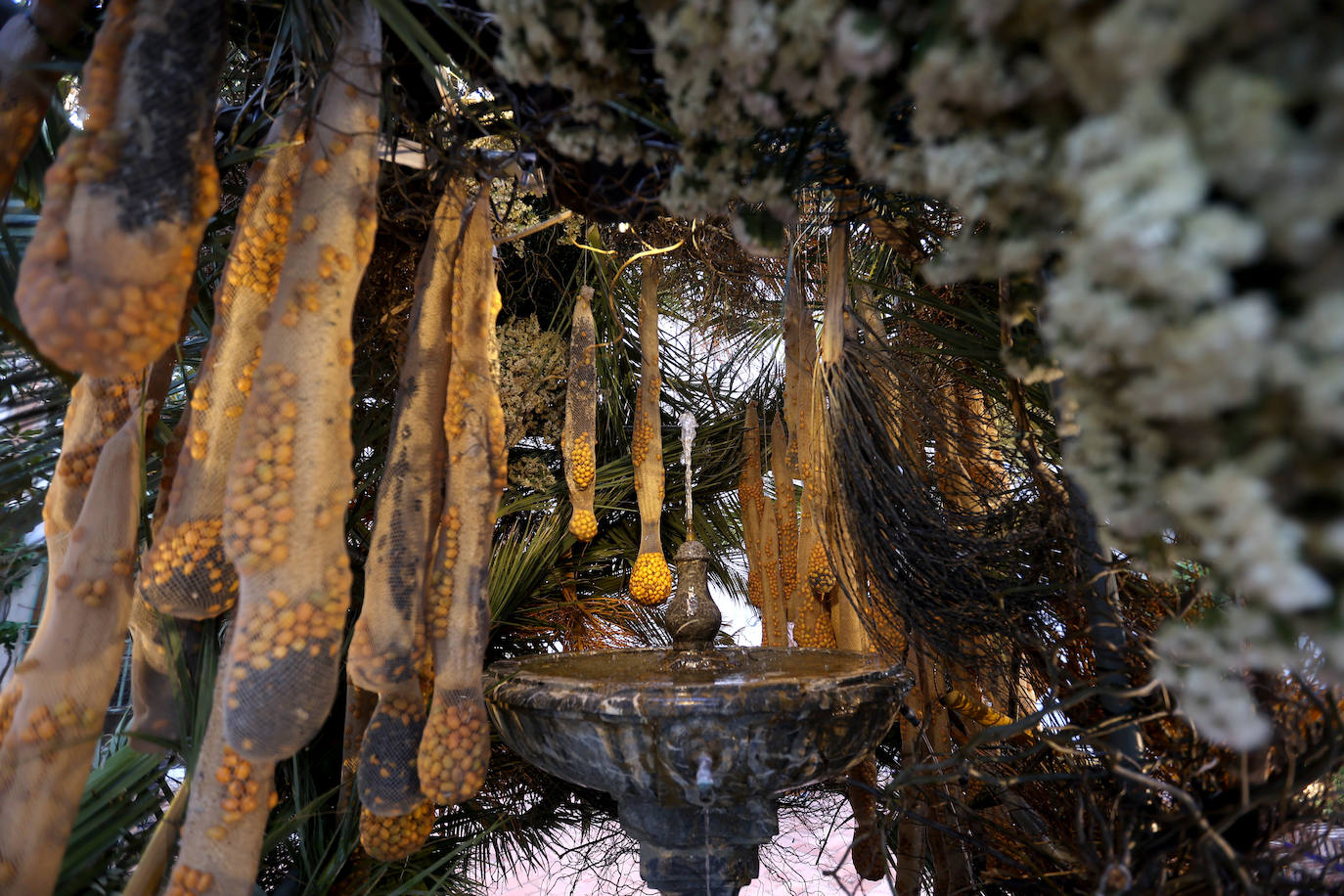 El incomparable espectáculo sensorial del Festival Flora de Córdoba, en imágenes