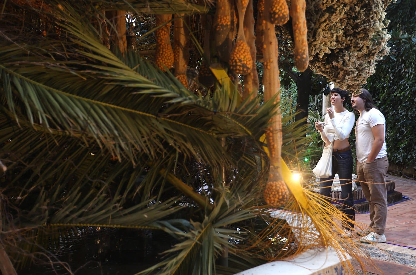 El incomparable espectáculo sensorial del Festival Flora de Córdoba, en imágenes