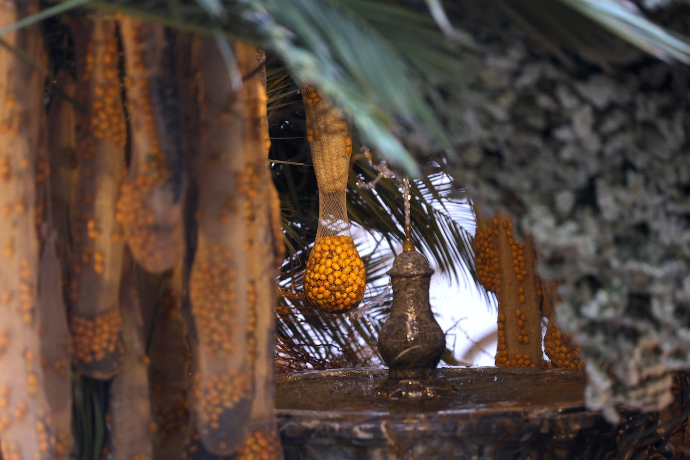 El incomparable espectáculo sensorial del Festival Flora de Córdoba, en imágenes