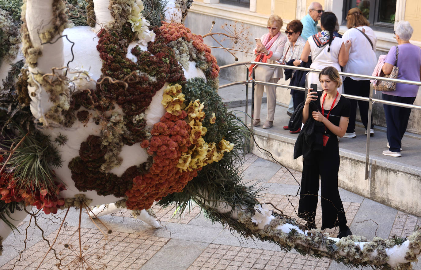 El incomparable espectáculo sensorial del Festival Flora de Córdoba, en imágenes