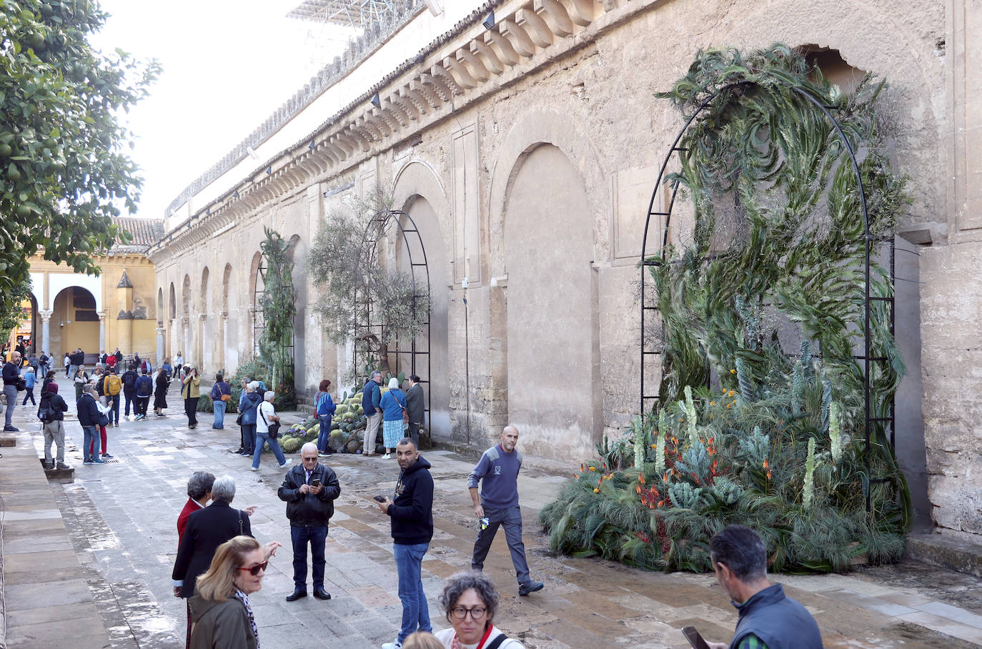 El incomparable espectáculo sensorial del Festival Flora de Córdoba, en imágenes