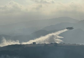 El 42,5% de los incendios forestales de Andalucía son por negligencias