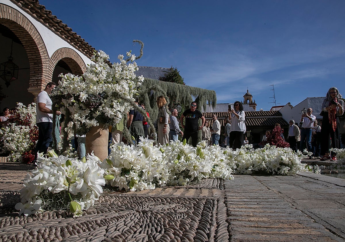 Público en el Palacio de Viana observando 'El ser deshilahcado'