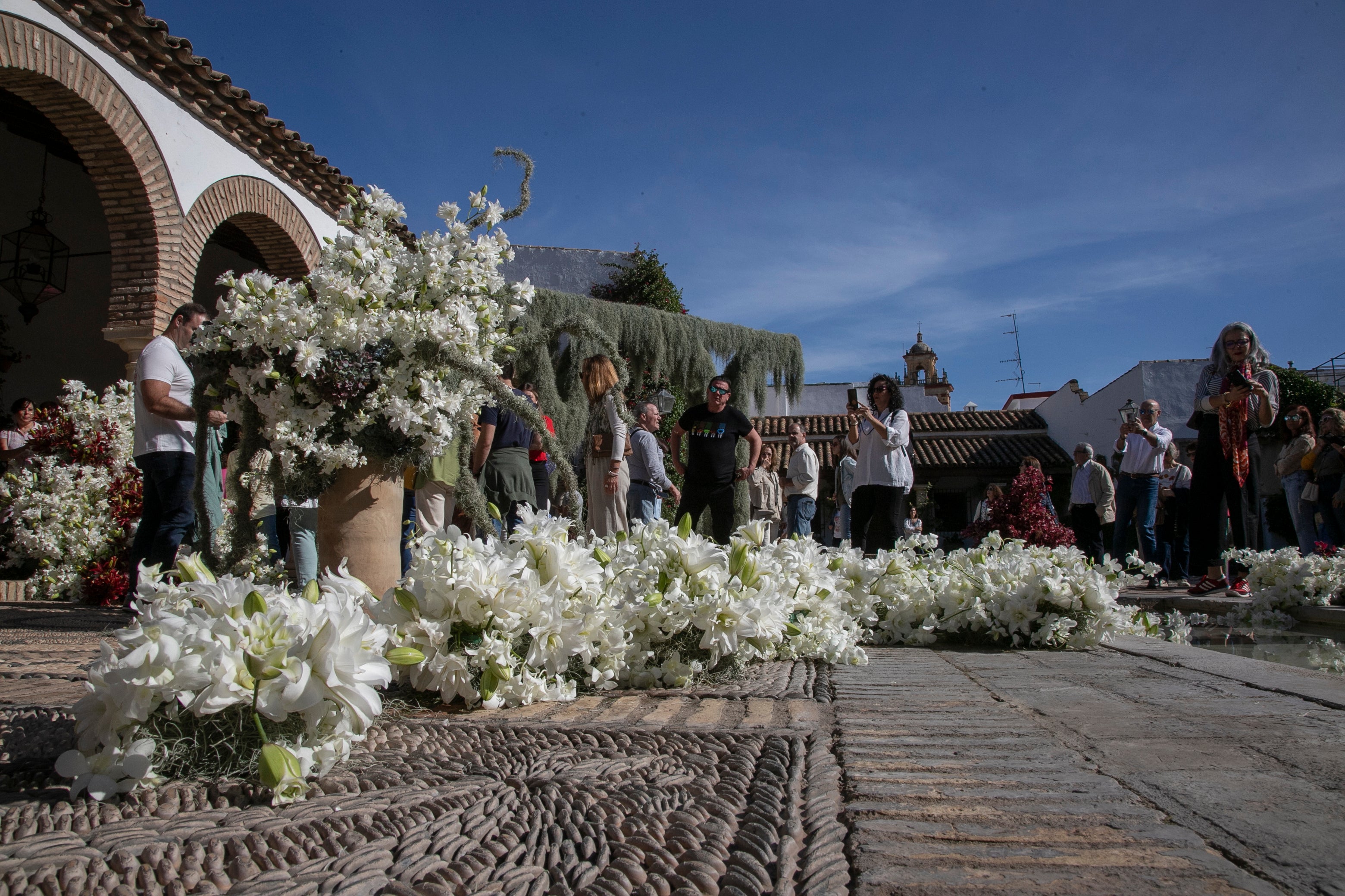 El ambiente en las instalaciones del Festival de Flora de Córdoba, en imágenes