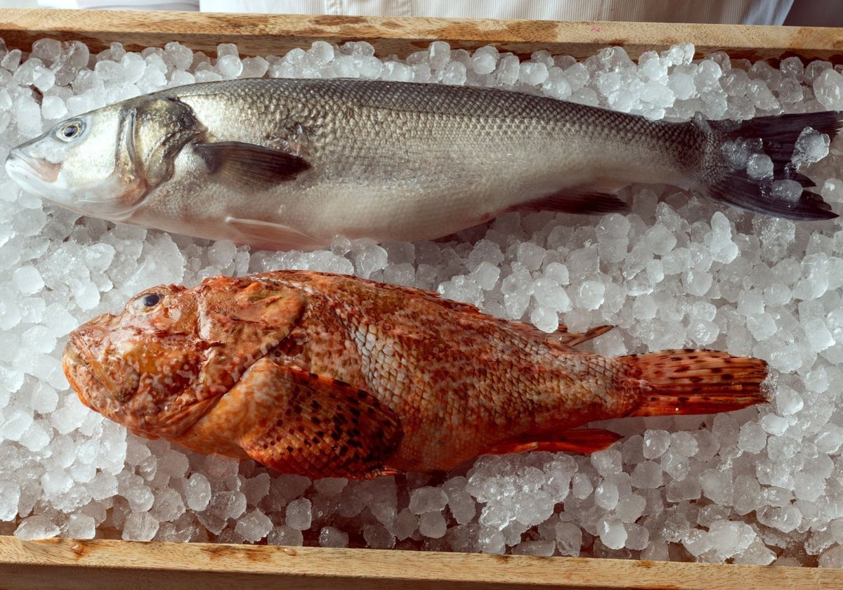 El restaurante apuesta en la nueva temporada por el producto fresco y, en especial, el pescado