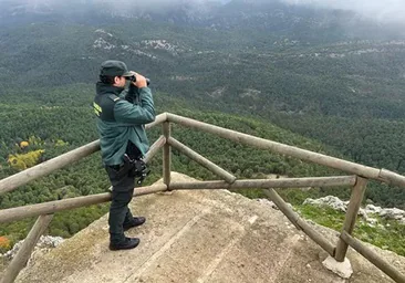 La última llamada del matrimonio que viajaba en la avioneta desaparecida en Cazorla: «Hay muchas nubes»