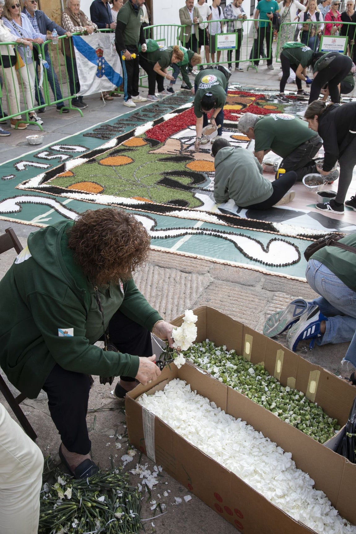 La majestuosa alfombra de flores dedicada a Julio Romero de Torres en Flora, en imágenes