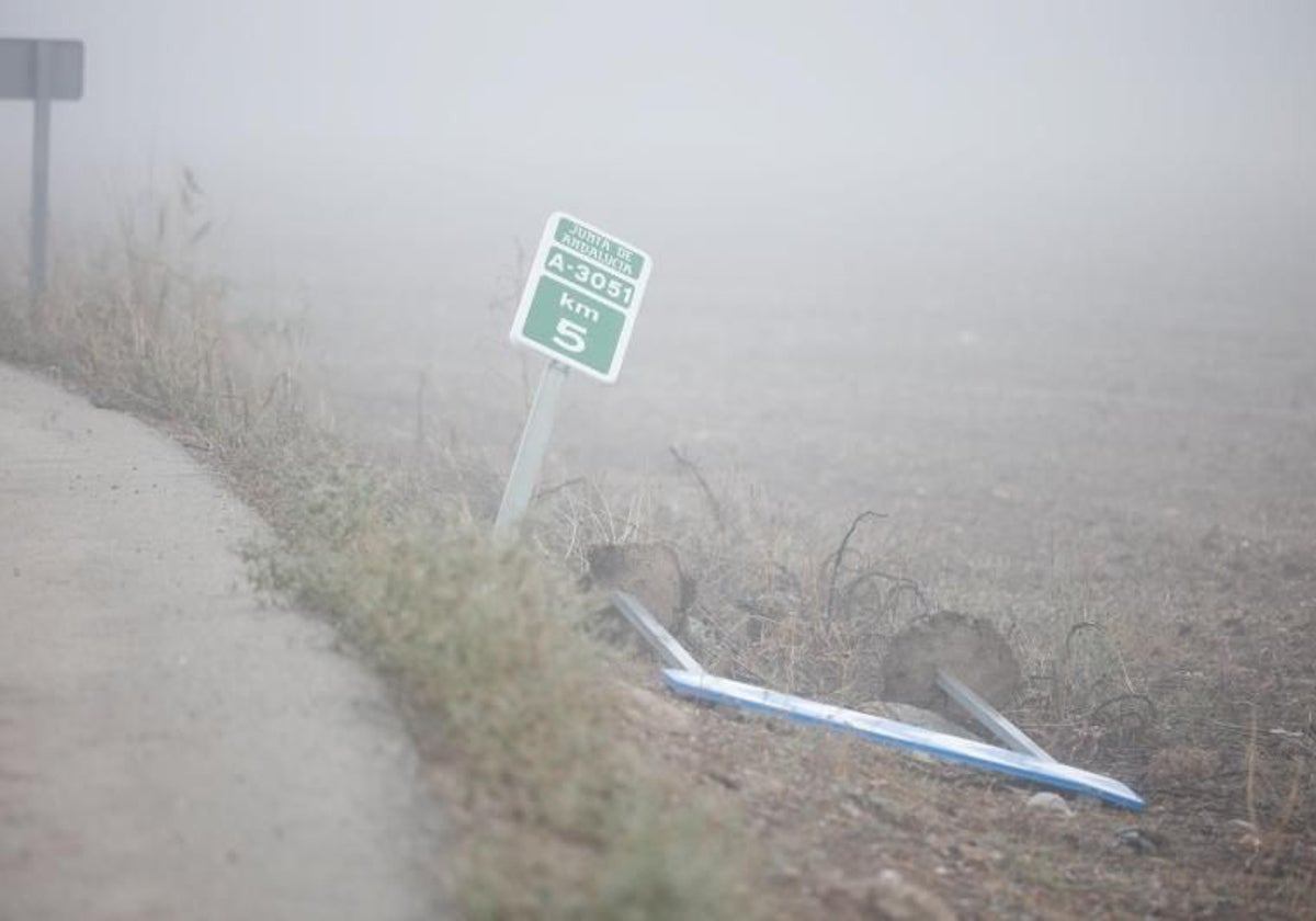 El accidente que provocó el acusado ocurrió en la carretera de Alcaracejos en Córdoba