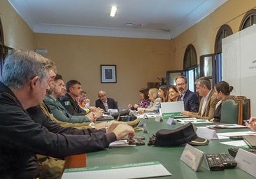 La campaña de extinción de incendios deja 2.046 hectáreas quemadas