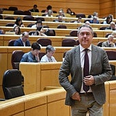 El PSOE lleva al Tribunal Constitucional el veto del Senado a la ley que beneficia a presos de ETA