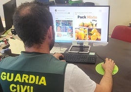 Investigan al administrador de una empresa por estafar 78 toneladas de naranjas a agricultores valencianos