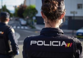 Detenida en Granada una pareja eslovena con un arsenal de armas