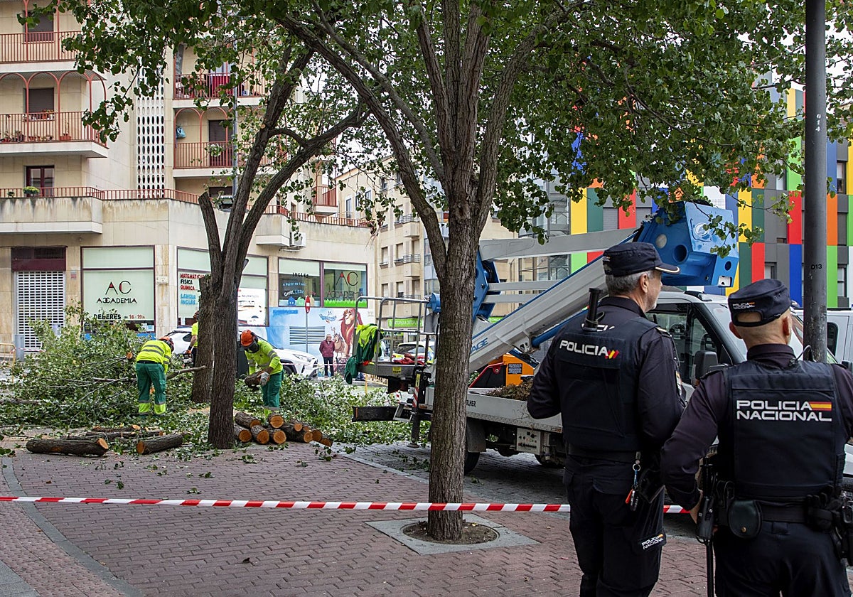 Un detenido y dos policías heridos durante una protesta contra la tala de árboles en Salamanca