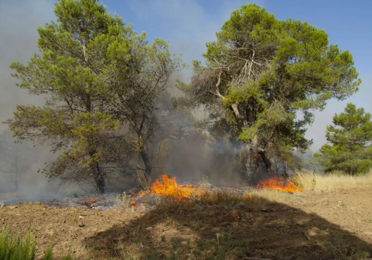 El incendio se originó el 30 de julio