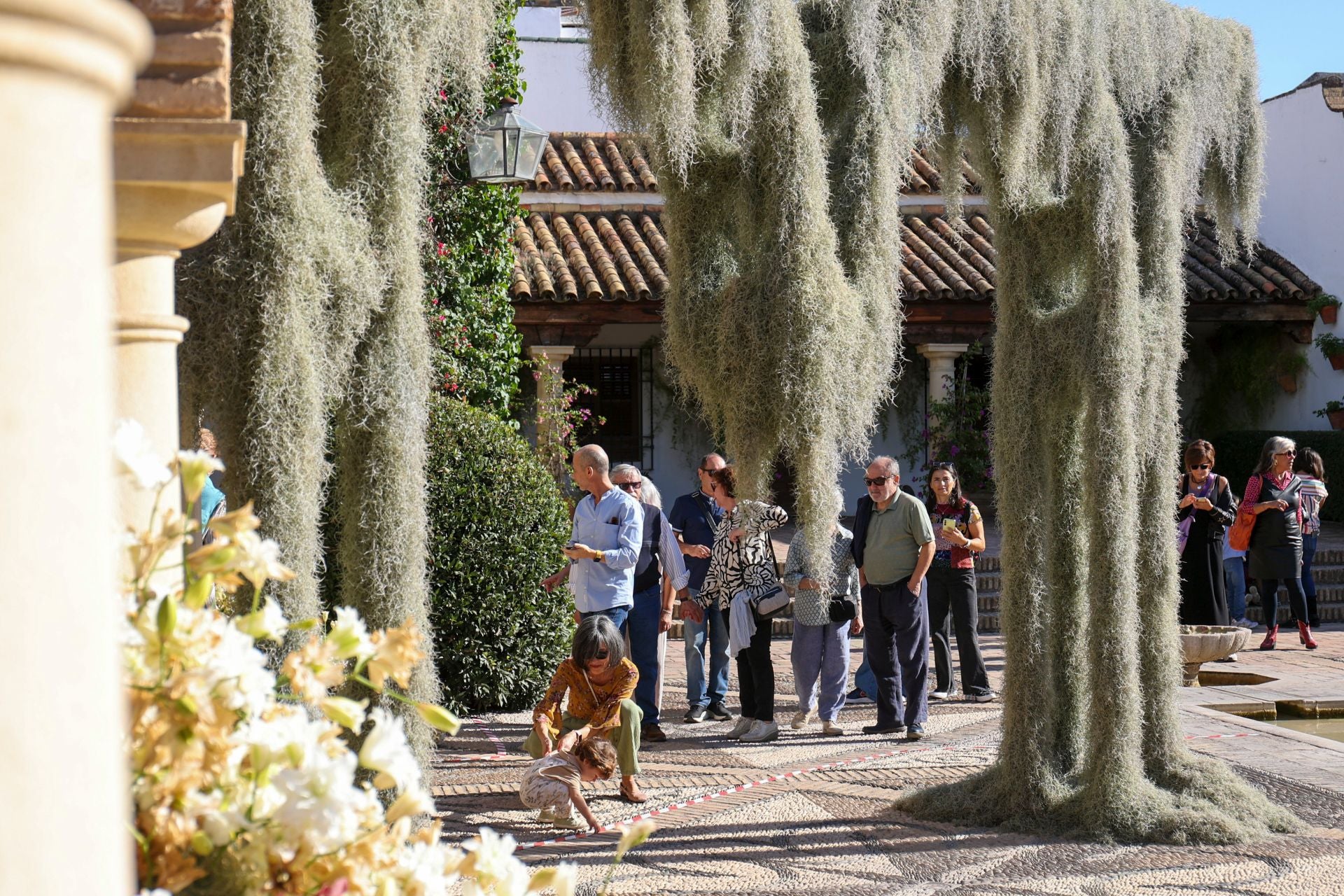 La última jornada del Festival Flora 2024 en Córdoba, en imágenes
